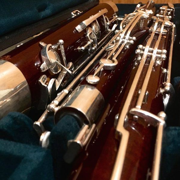 11 Problems Bassoonists Know All Too Well