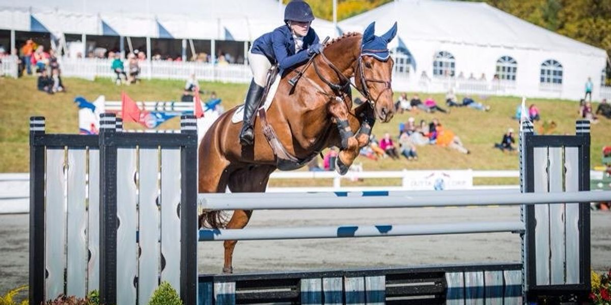 Eventiing A Beginner's Guide To Three-Day Eventing | The Odyssey Online