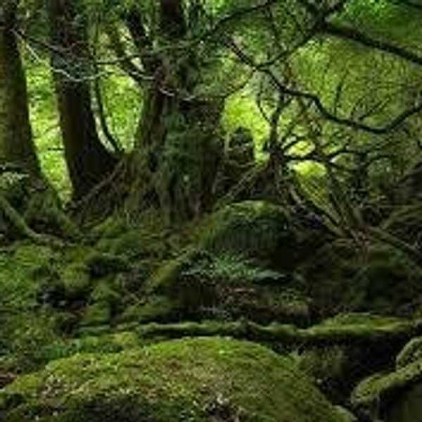 Finding Religion In The Old Gods