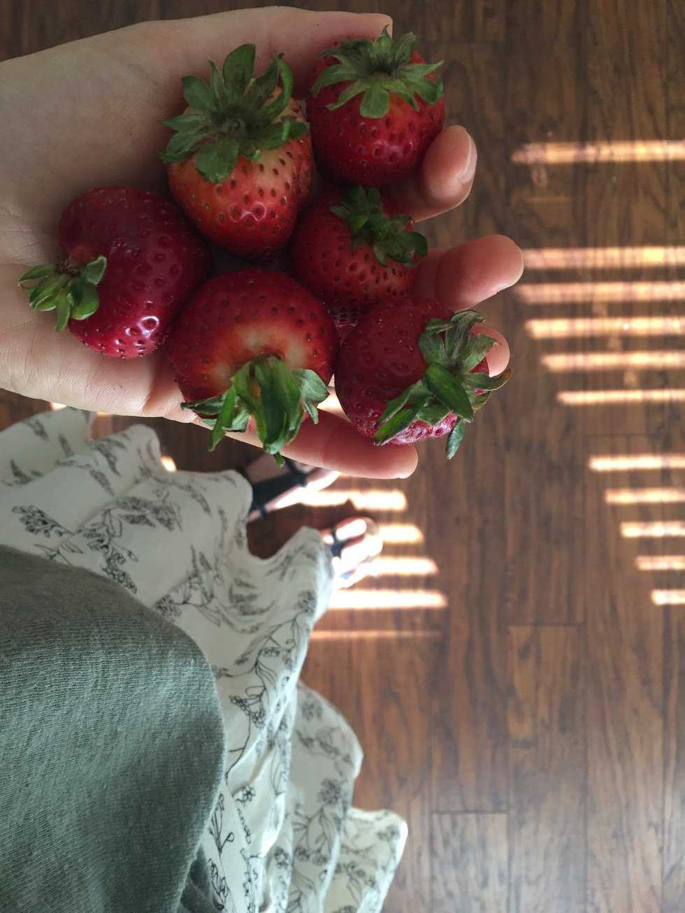 The Importance of a Good Meal