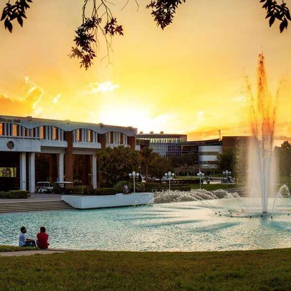 A Reflection On Freshman Year