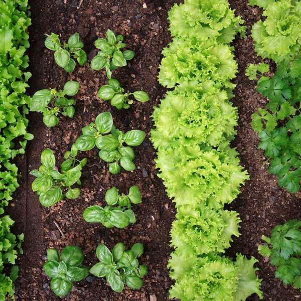 What Does Eating "All Natural" Really Mean?