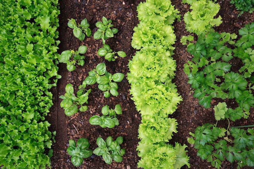 What Does Eating "All Natural" Really Mean?