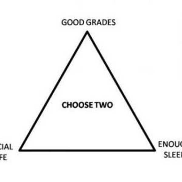 How Did I Survive College, Year One?