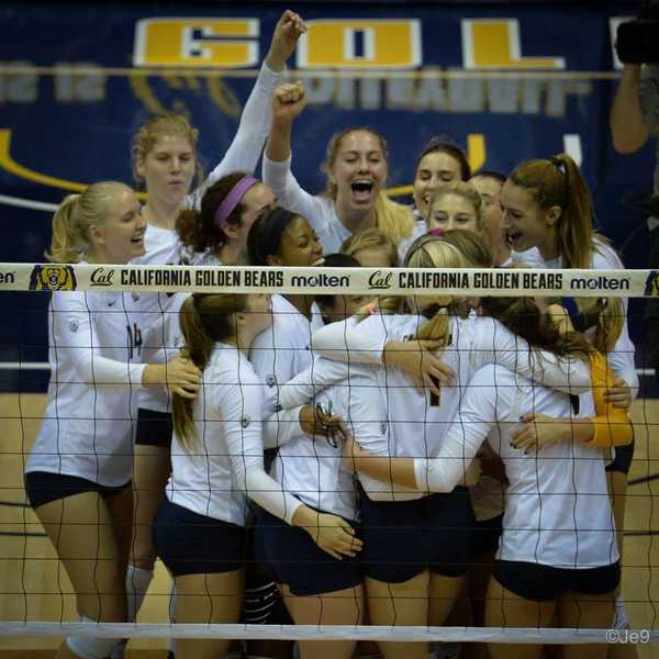 Diary Of A Collegiate Athlete Bench Rider