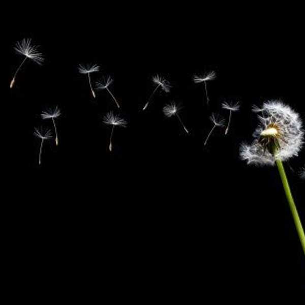 The Constant Need, Want And Fear Of Change