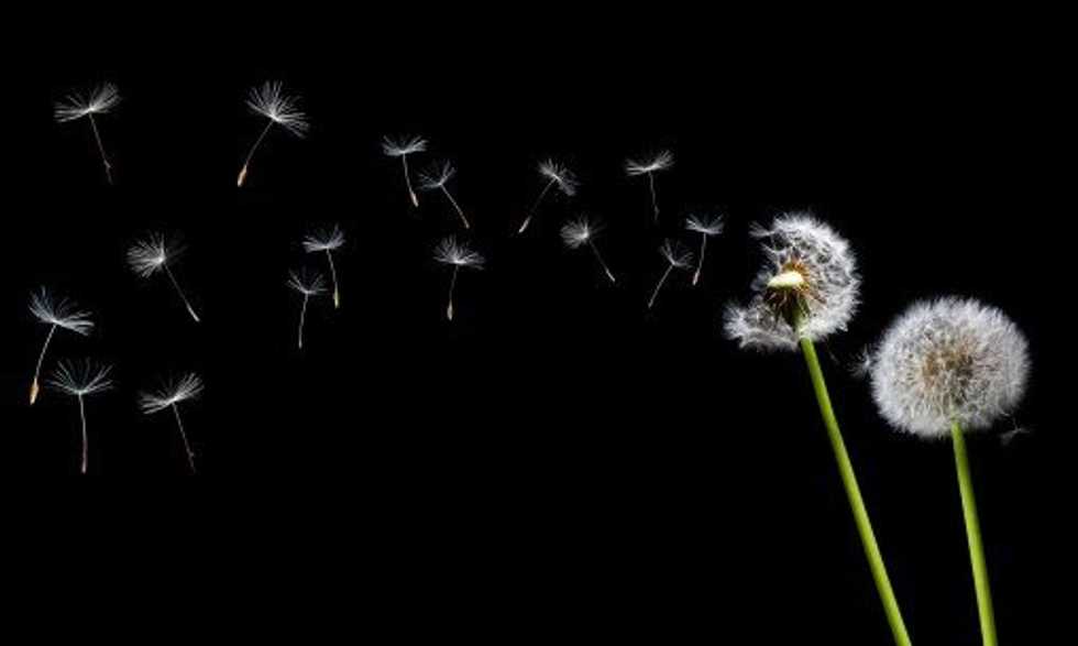 The Constant Need, Want And Fear Of Change