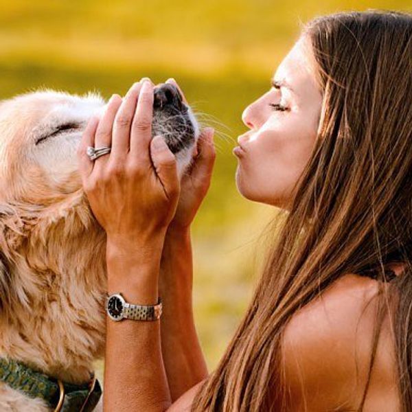 18 Reasons Why Dogs Are Better Than Partners