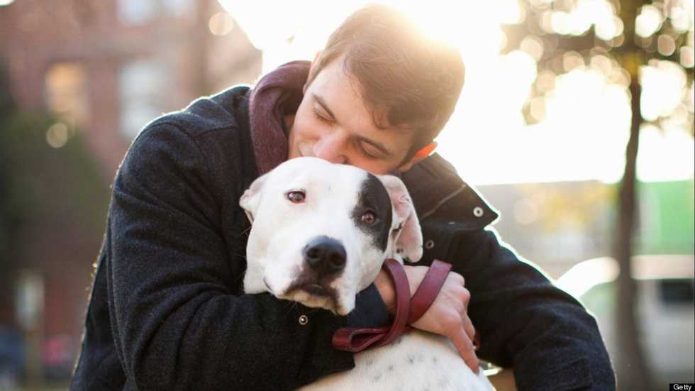 An Open Letter To My Dog Before I Come Home For The Summer