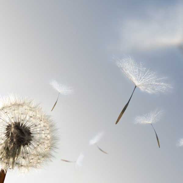 Letting Go Of Negativity