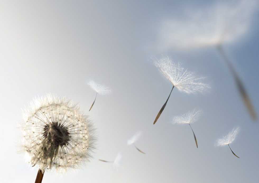 Letting Go Of Negativity