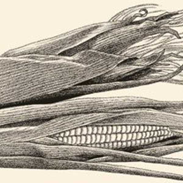 The Truth About GMOs