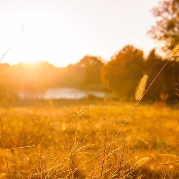 The Definitive List of Country Songs You Need On Your Playlist This Summer