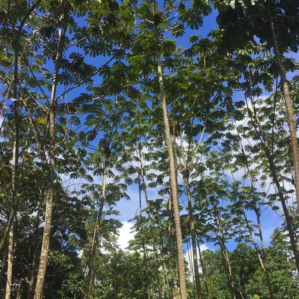 The Journals Of A Travel Enthusiast, Part 2