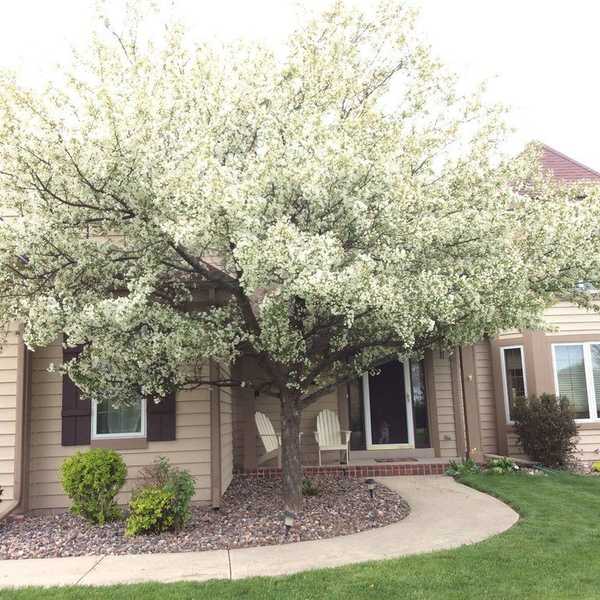 Signs You're Ready For Summer At Home