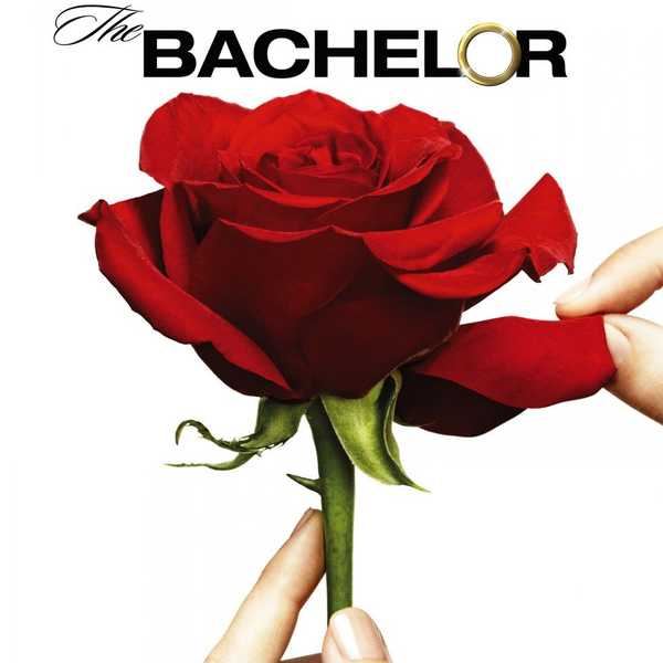 The Last Rose, Or The Last Straw?