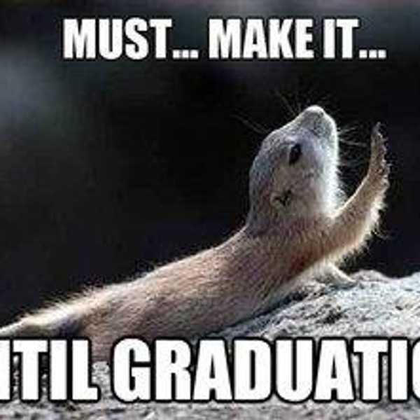 The Seven Stages of Graduation