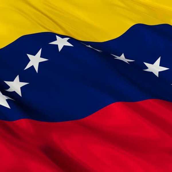 The Venezuelan Protests