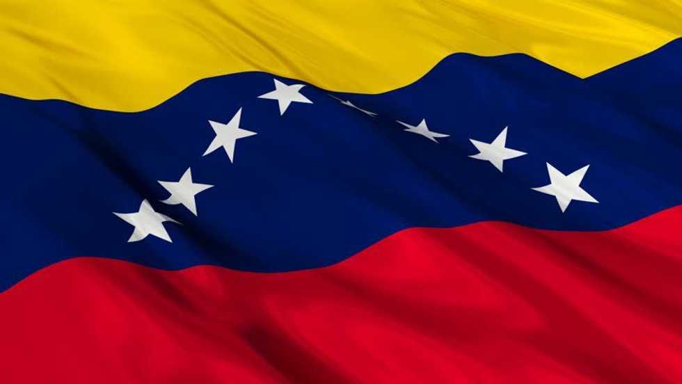 The Venezuelan Protests