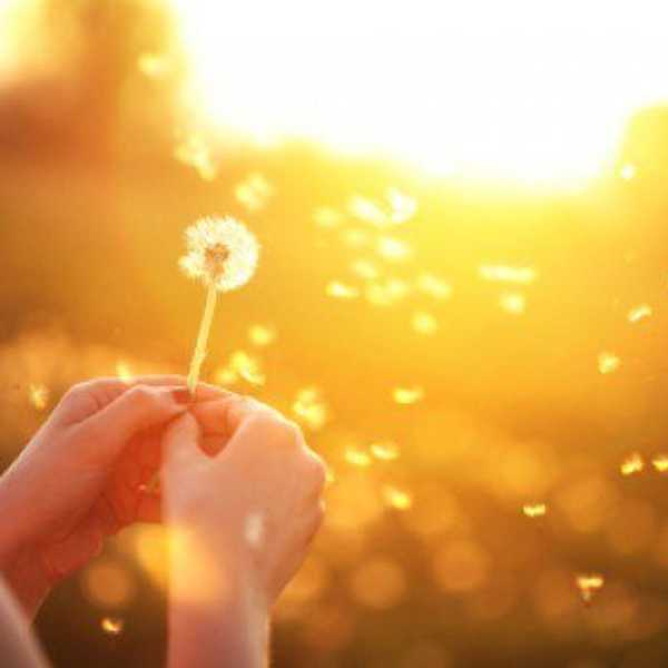 The Art Of Letting Go