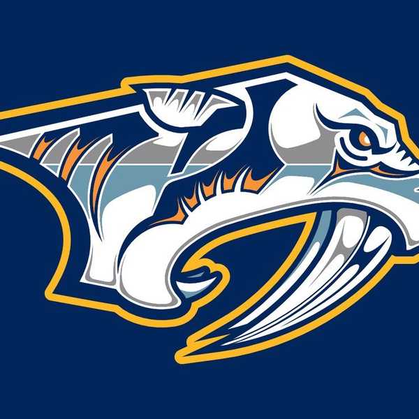 11 Reasons To Appreciate Hockey (When You Don't Know How To Hockey)