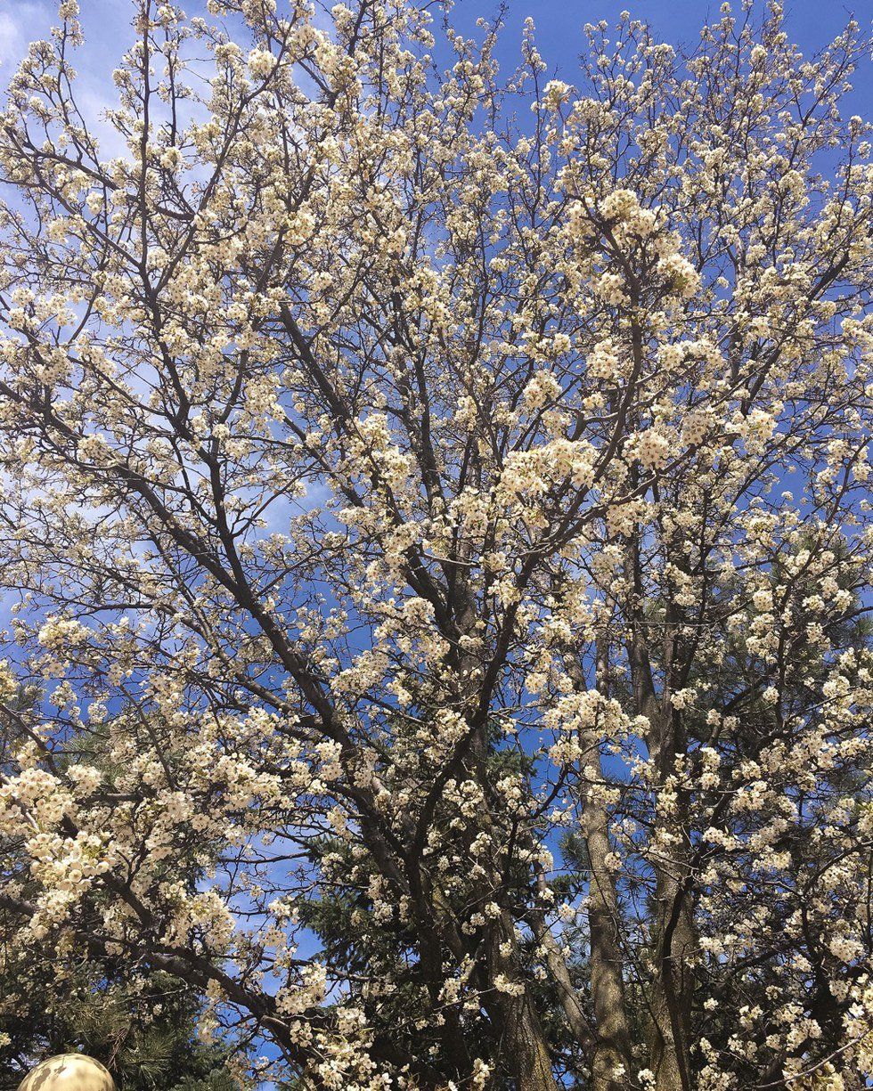 6 Makeup Trends To Try Out This Spring