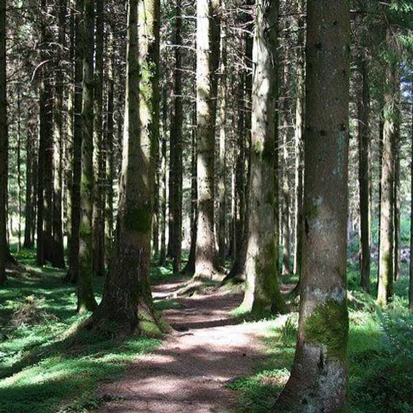The Beauty I Find In Hiking