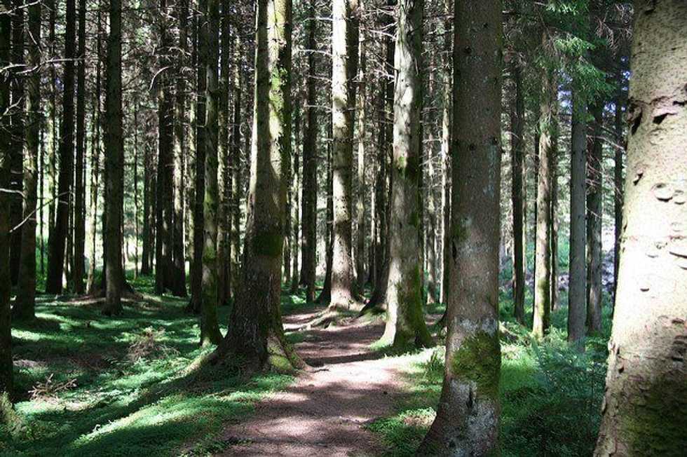 The Beauty I Find In Hiking