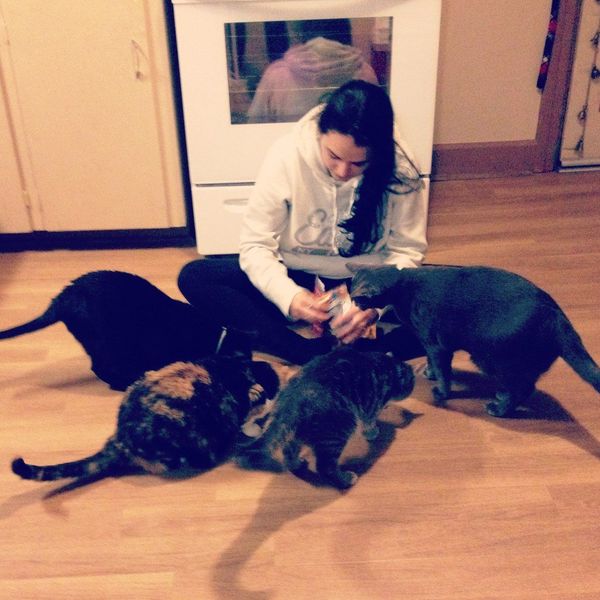 16 Struggles That Every Cat Owner Knows Too Well