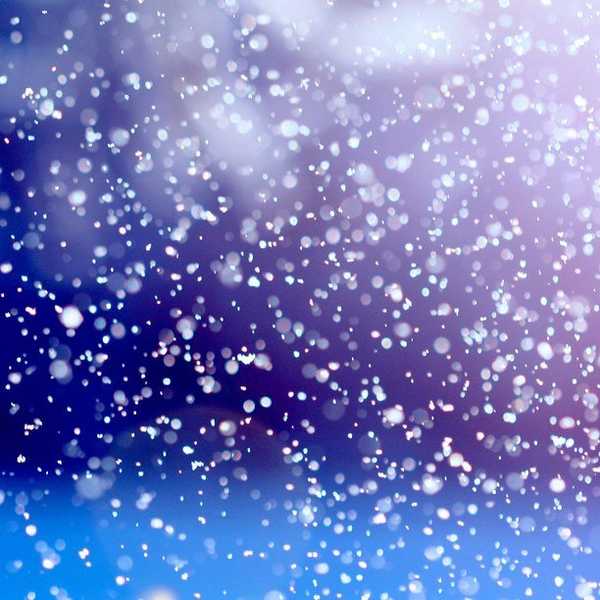 'The Chronicles Of Anastasia The Demon Hunter'