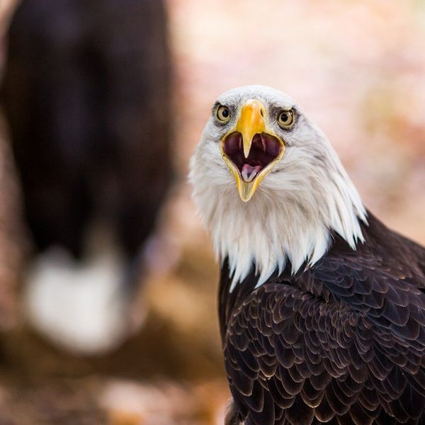 Problems of Democracy