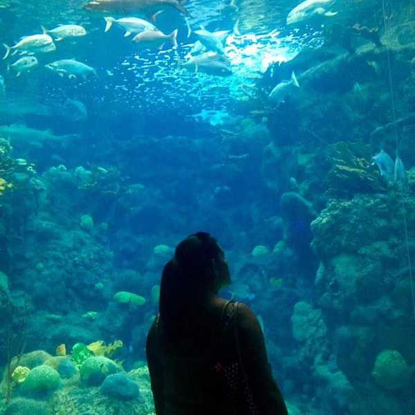 If You Could Look At Your Life 10 Years From Now, Would You?