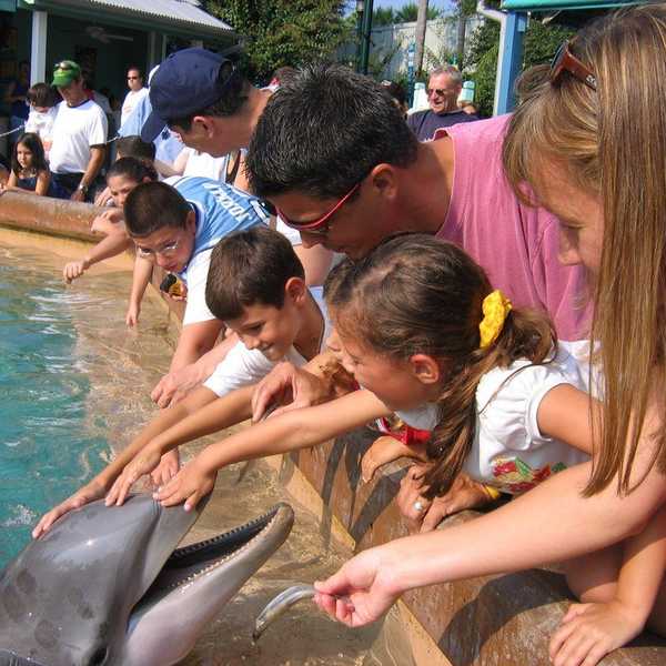 A SeaWorld "Tail"