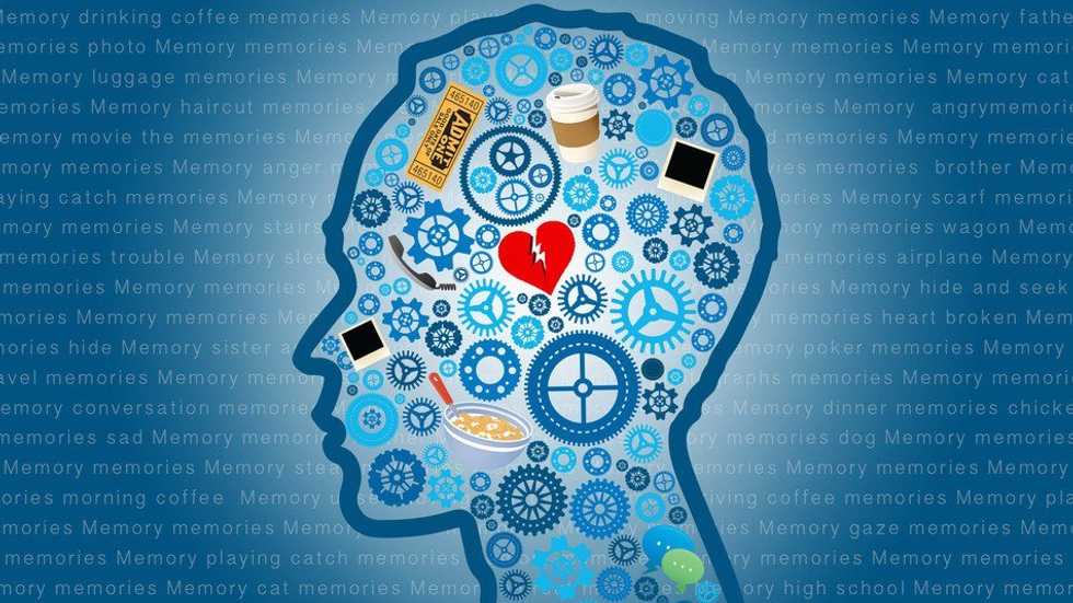Image About Memory 6 Little Known Facts About Memory | The Odyssey Online