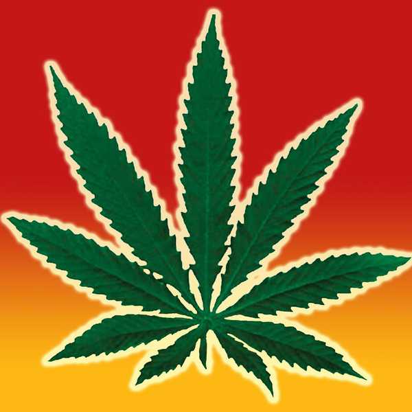 The High Holidaze