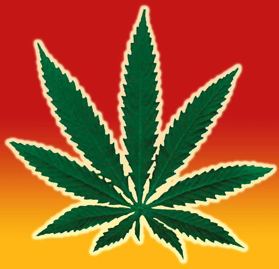 The High Holidaze
