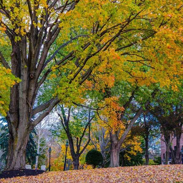 14 Hidden Gems Within 5 Miles Of Merrimack College