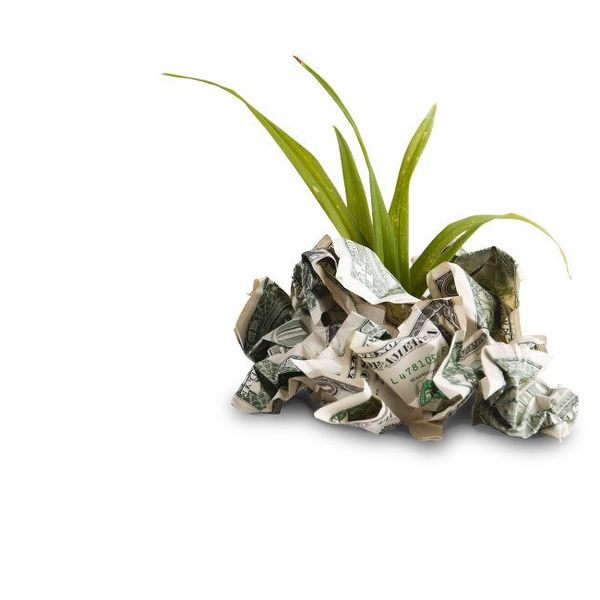 Getting Rich Building Debt