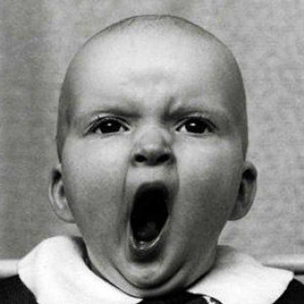 People Of Samford: Library Edition