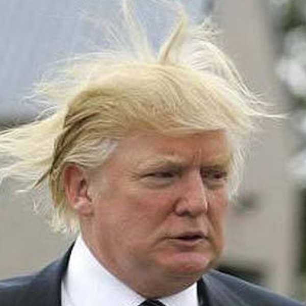 20 Things Better Than Donald Trump