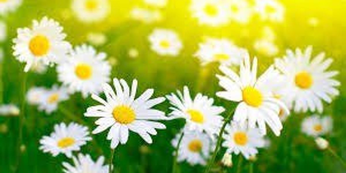 Any Natural Five Reasons Why Being All Natural Is The Best | The Odyssey Online