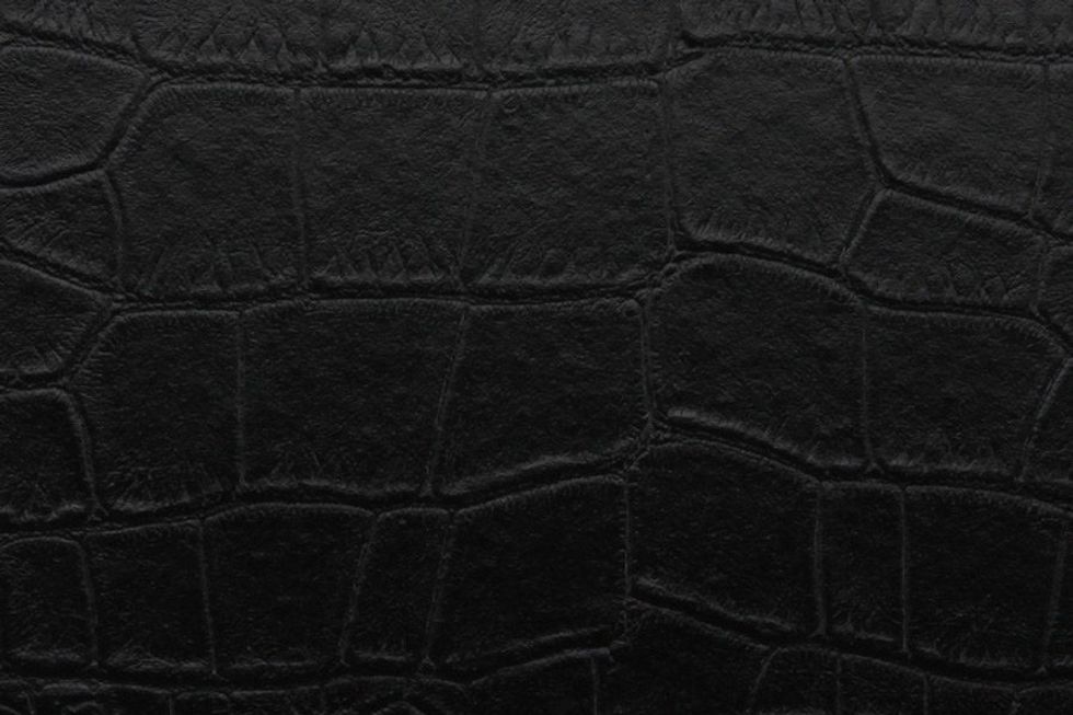 The Lo Mill Chronicles: Entry Two