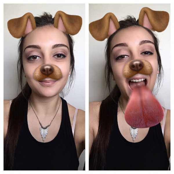 A Word To Those Who Think Dog Faces Are Slutty