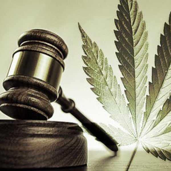 Canada, Cannabis And America