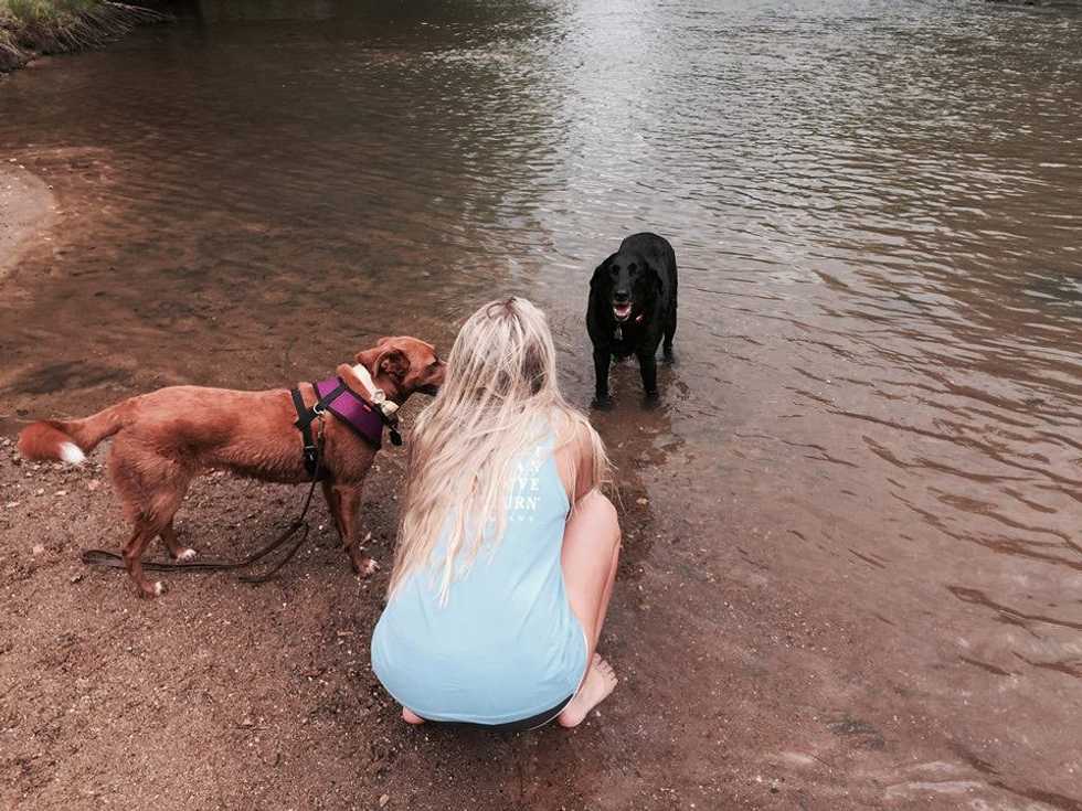 The Life Of A Dog Lover In College