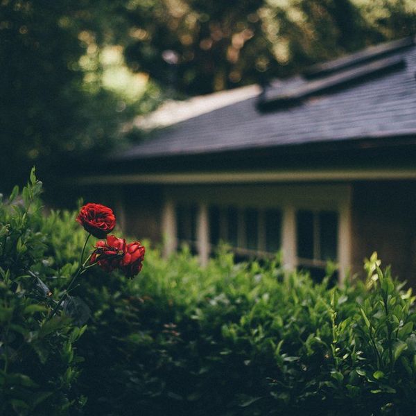 5 Beautiful Things We Take For Granted