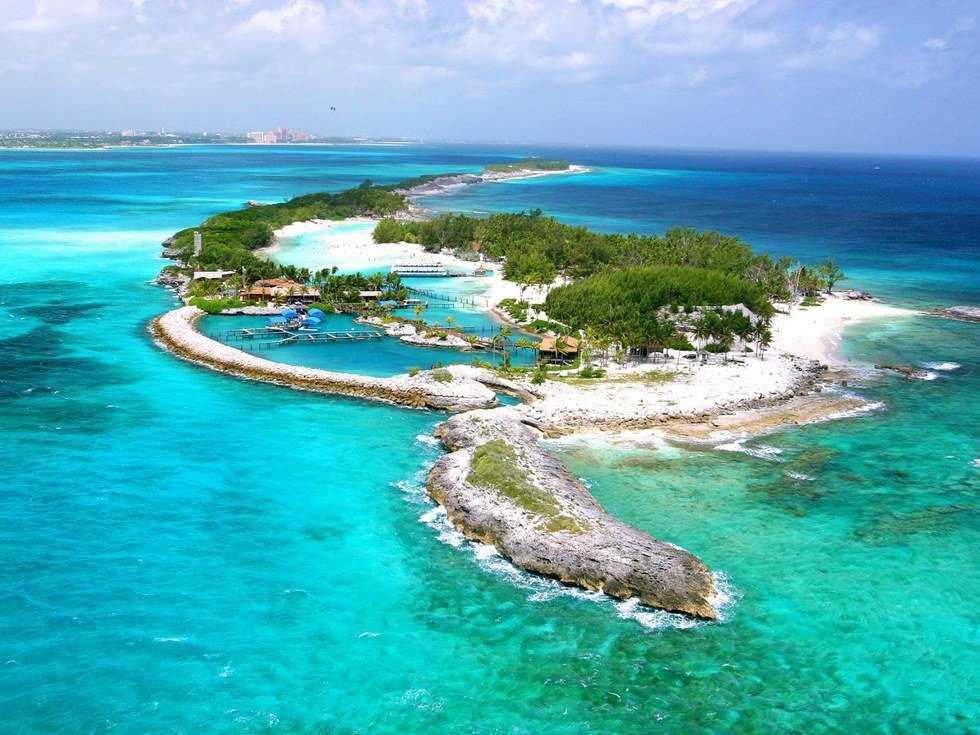 10 Signs You Grew Up Caribbean