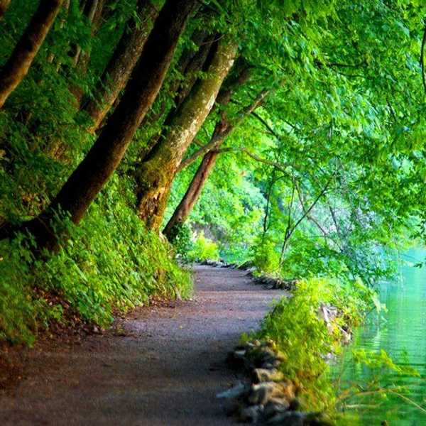 Why Nature Is A Writer's Best Friend