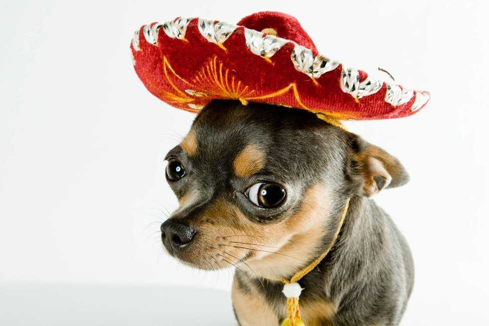 Thoughts During Spanish Class From A Confused Student