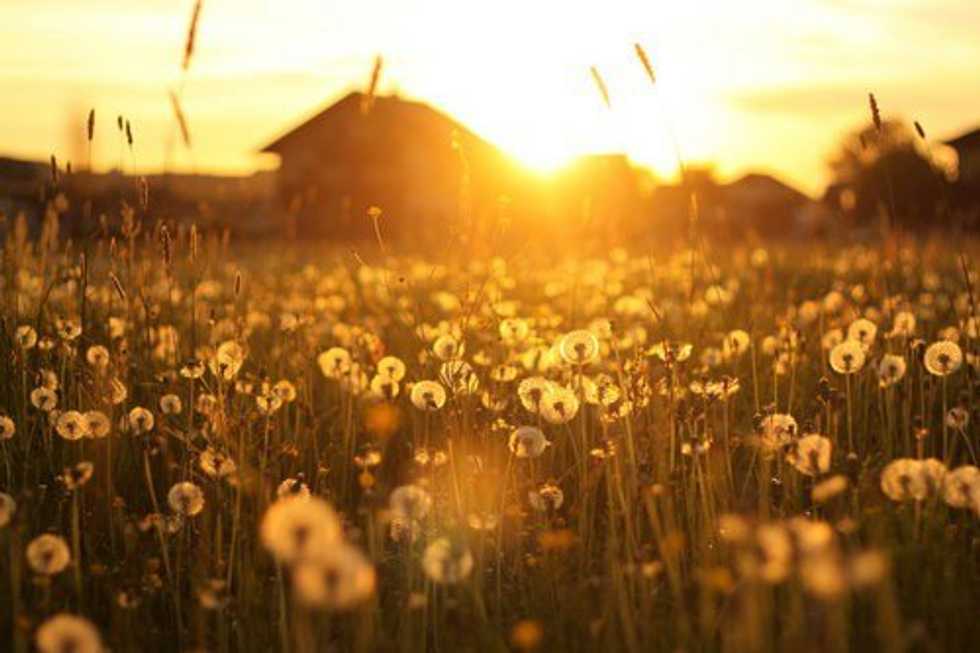 10 Unique Ideas For The Summer